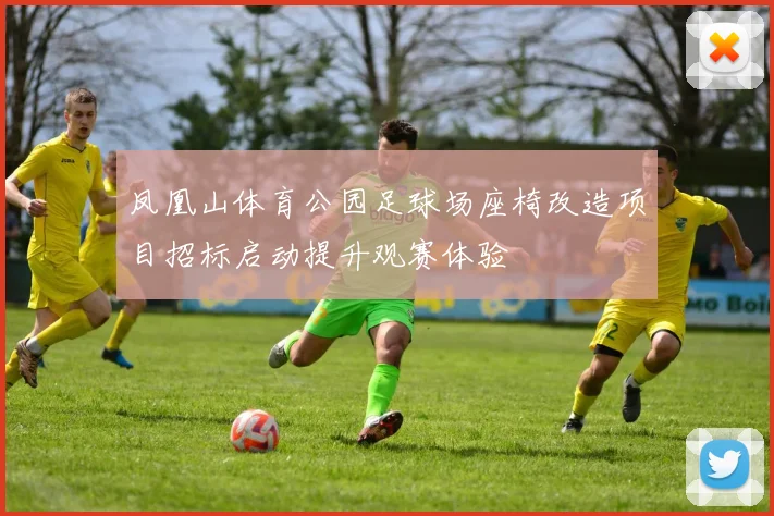 凤凰山体育公园足球场座椅改造项目招标启动提升观赛体验